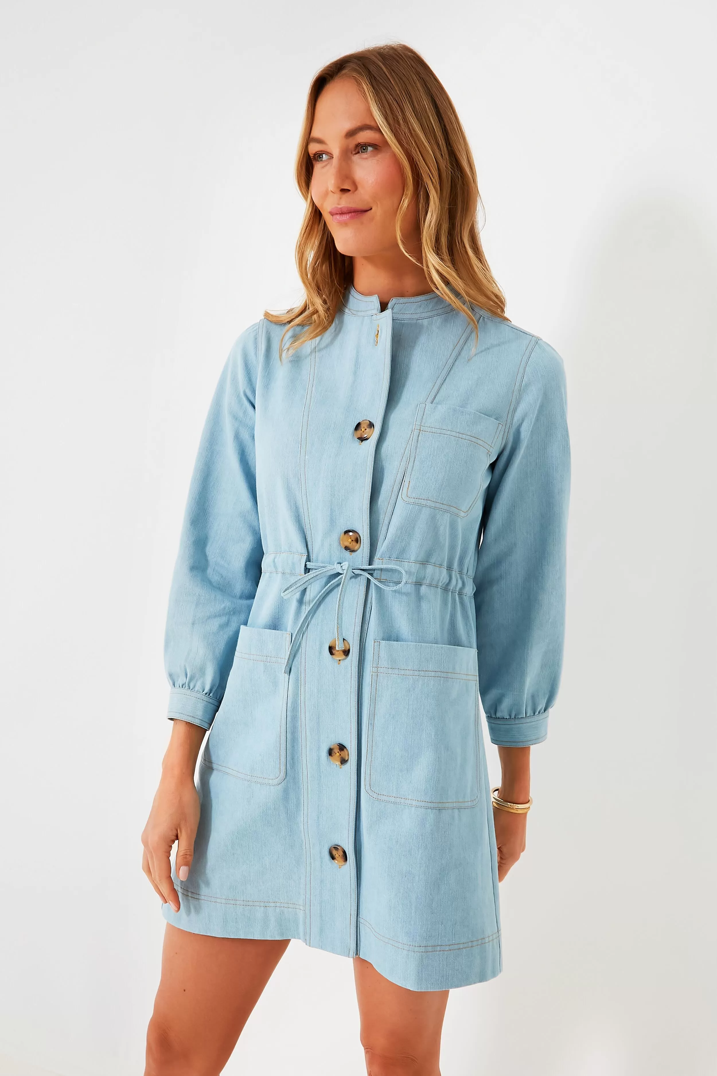 Chambray Crosby Dress