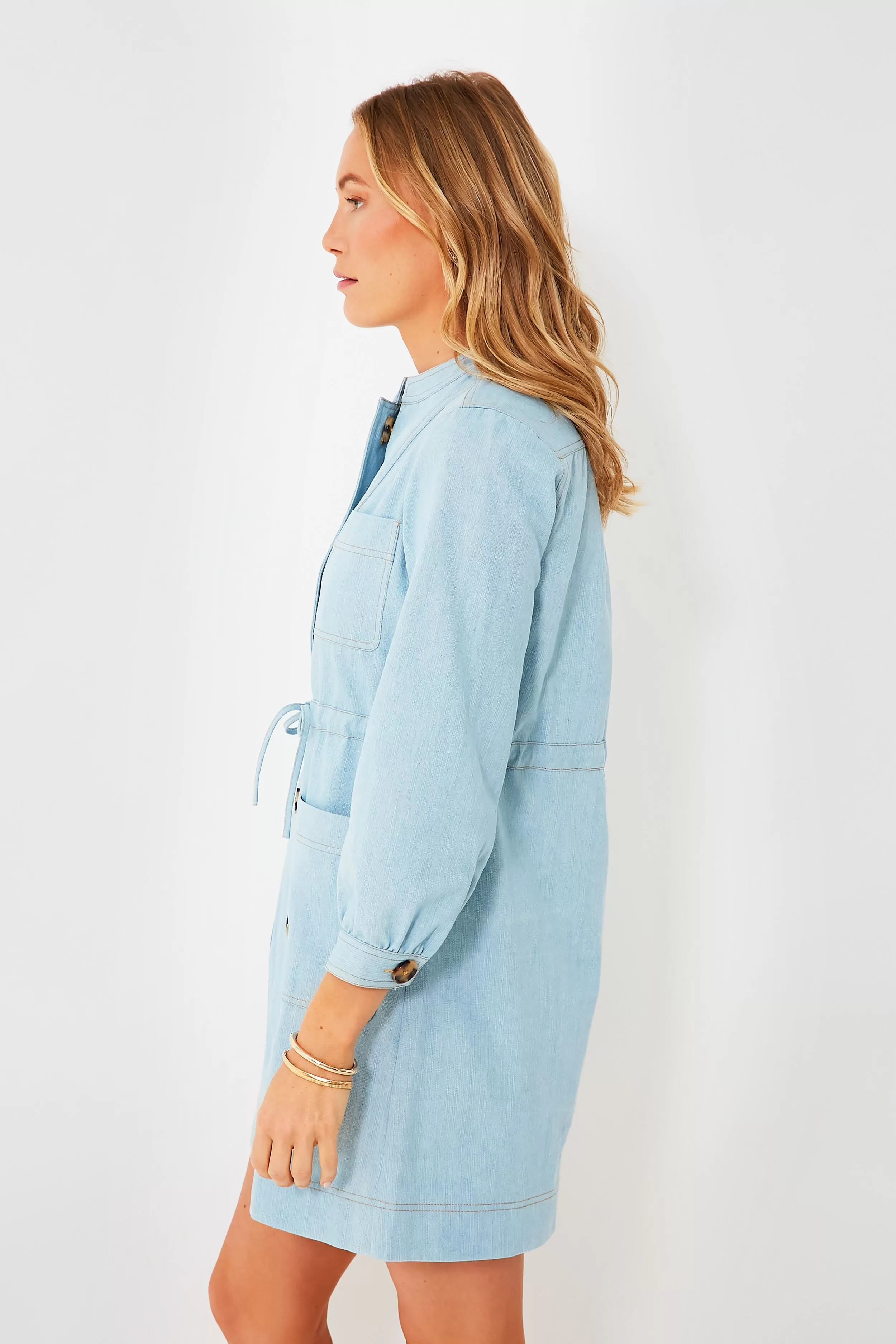 Chambray Crosby Dress