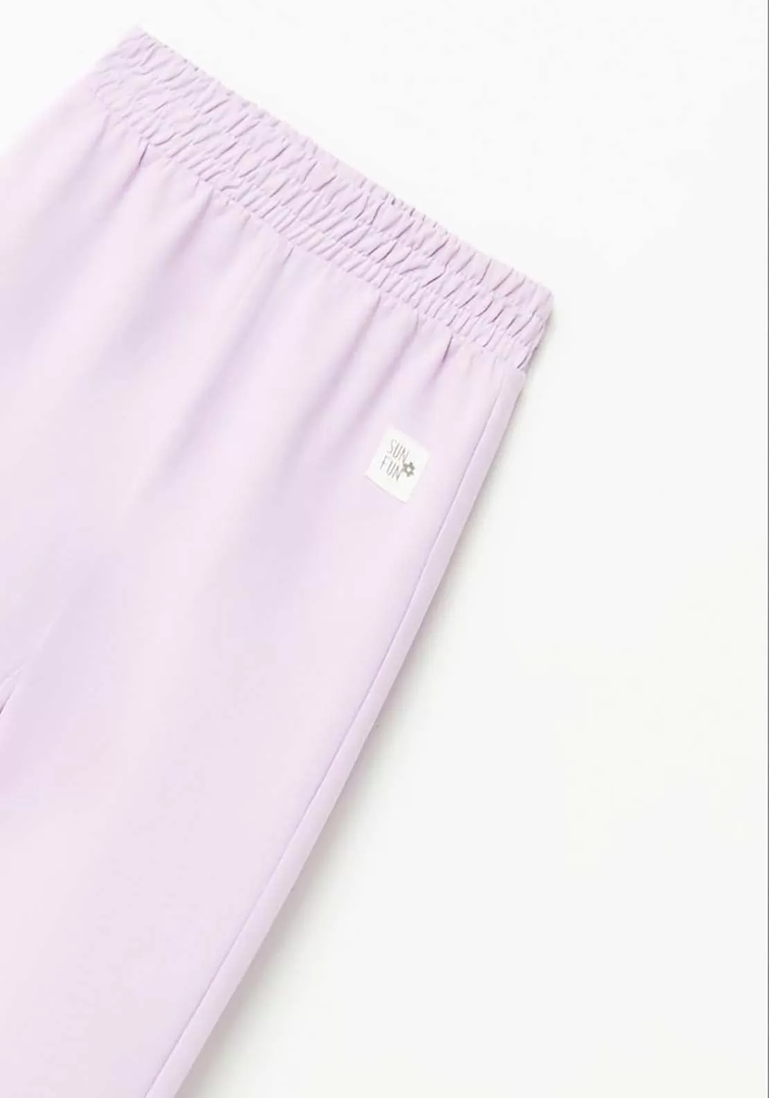 Plain Joggers - Purple