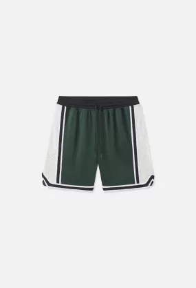 Vintage Varsity Shorts / Sparty